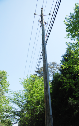 Joint Use Trivia: Everything You Never Knew About Utility Poles