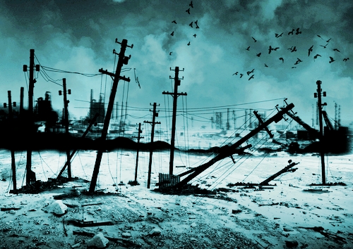 Protecting Utility Poles From Extreme Weather