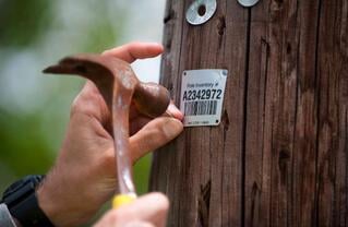 utility pole inspection