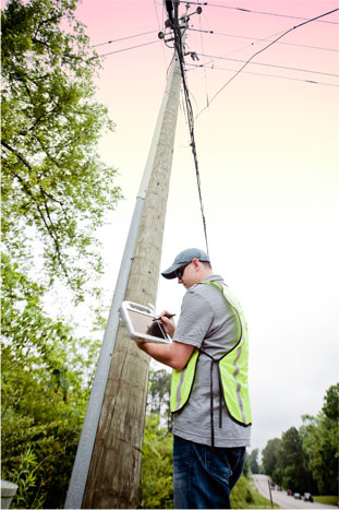 Alden Utility Pole Inspection