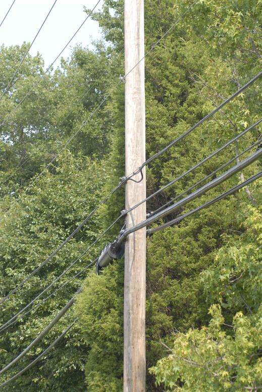 Utility Pole Producers, Costs and Maintenance