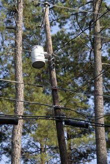 pole_pics_0348