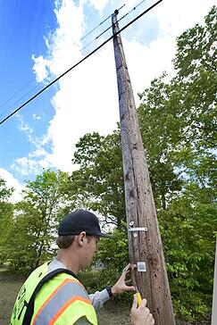 inspecting utility poles