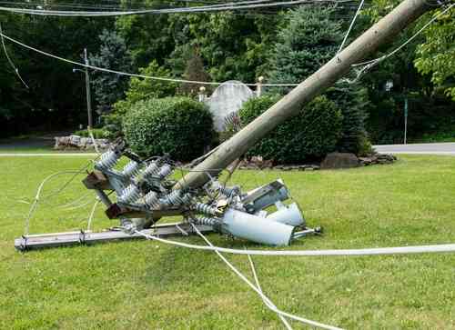 fallen utility pole